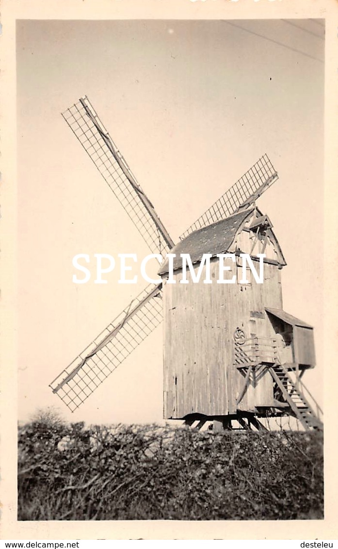 Foto Molen - Avekapelle - 6,5 X 10,5 Cm - Veurne