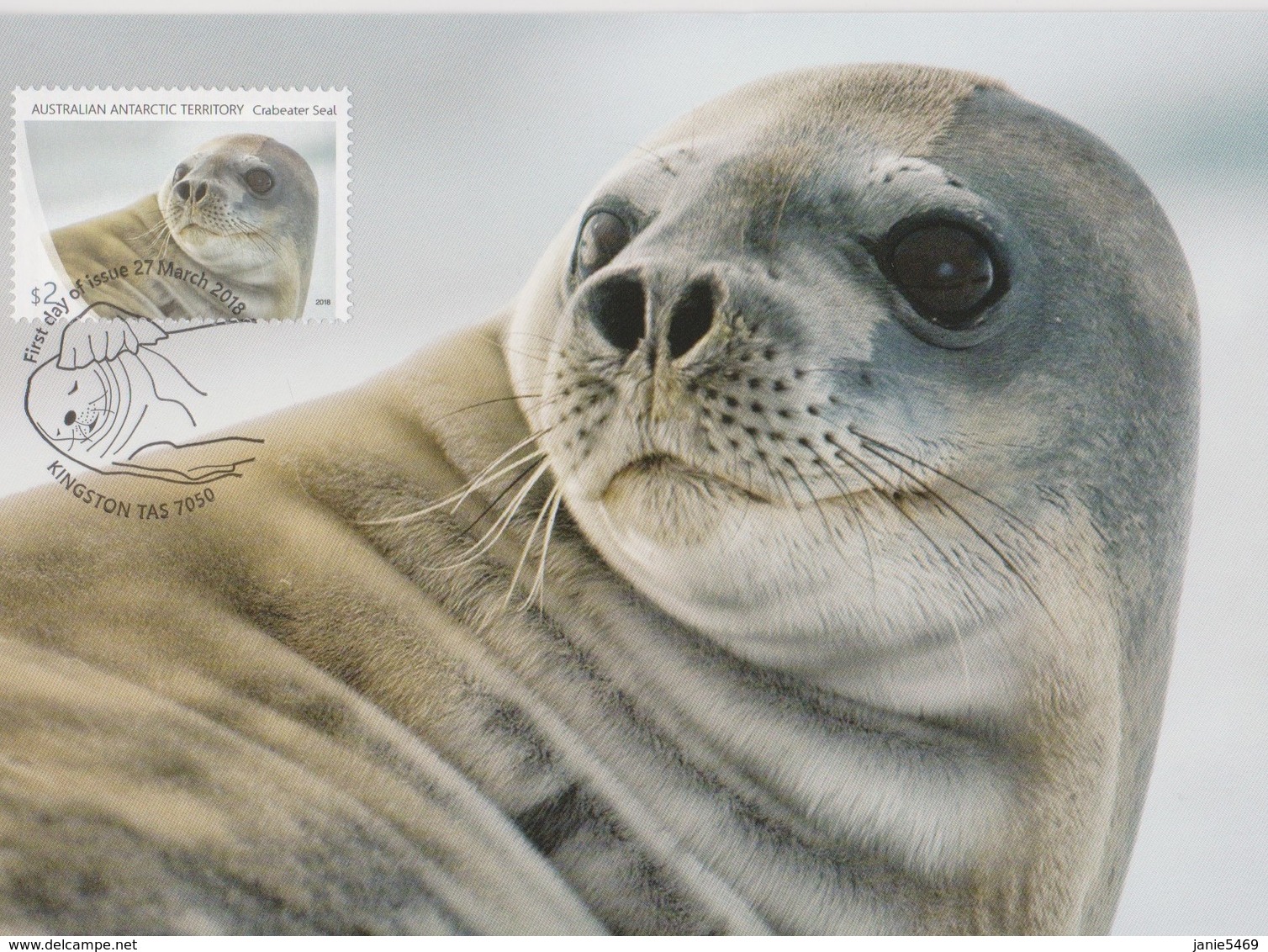 Australian Antarctic Territory 2018 Crabeater Seal,Crabeater Seal, Maximum Card - Cartoline Maximum