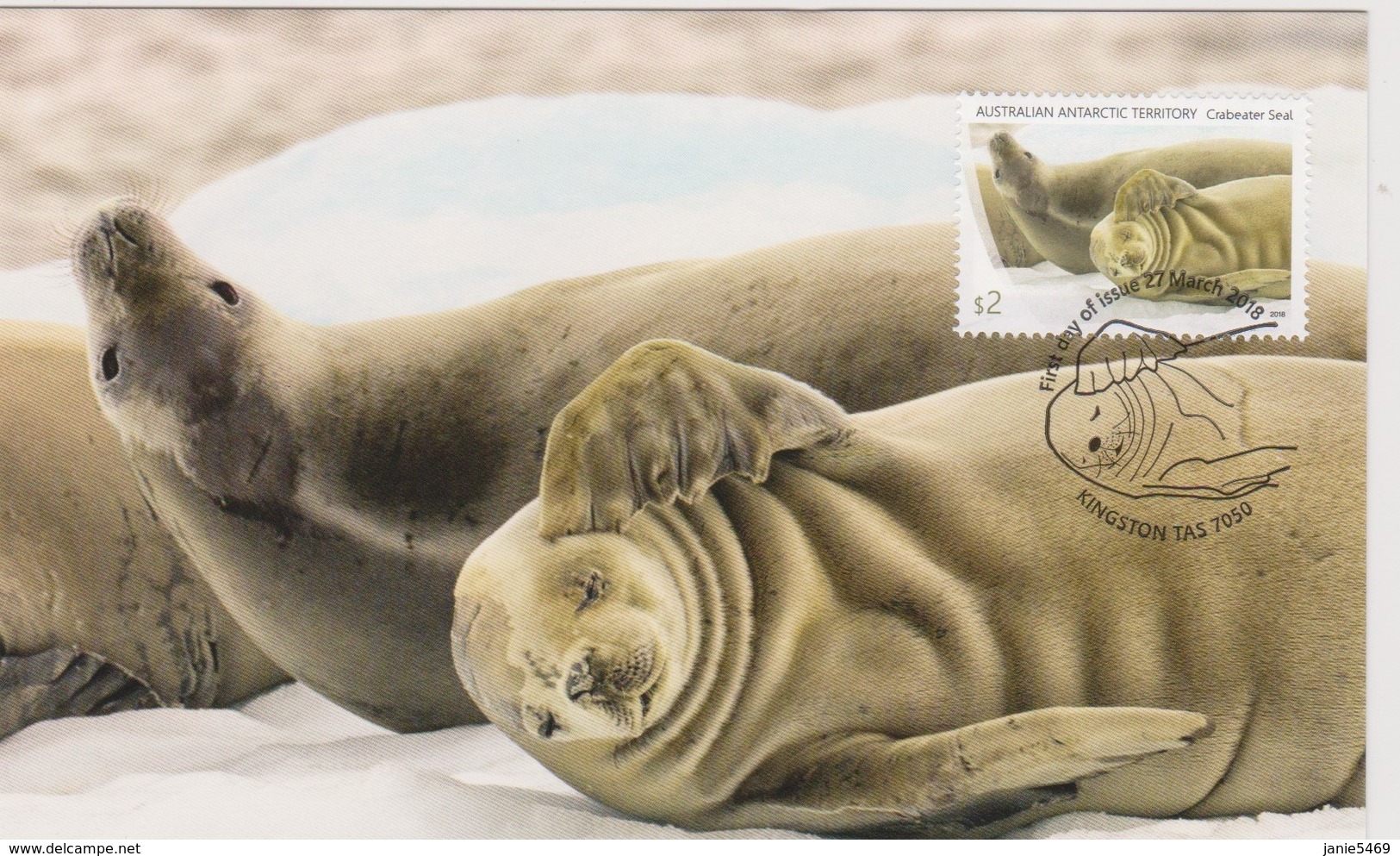 Australian Antarctic Territory 2018 Crabeater Seal,Group Of Seals, Maximum Card - Maximumkarten