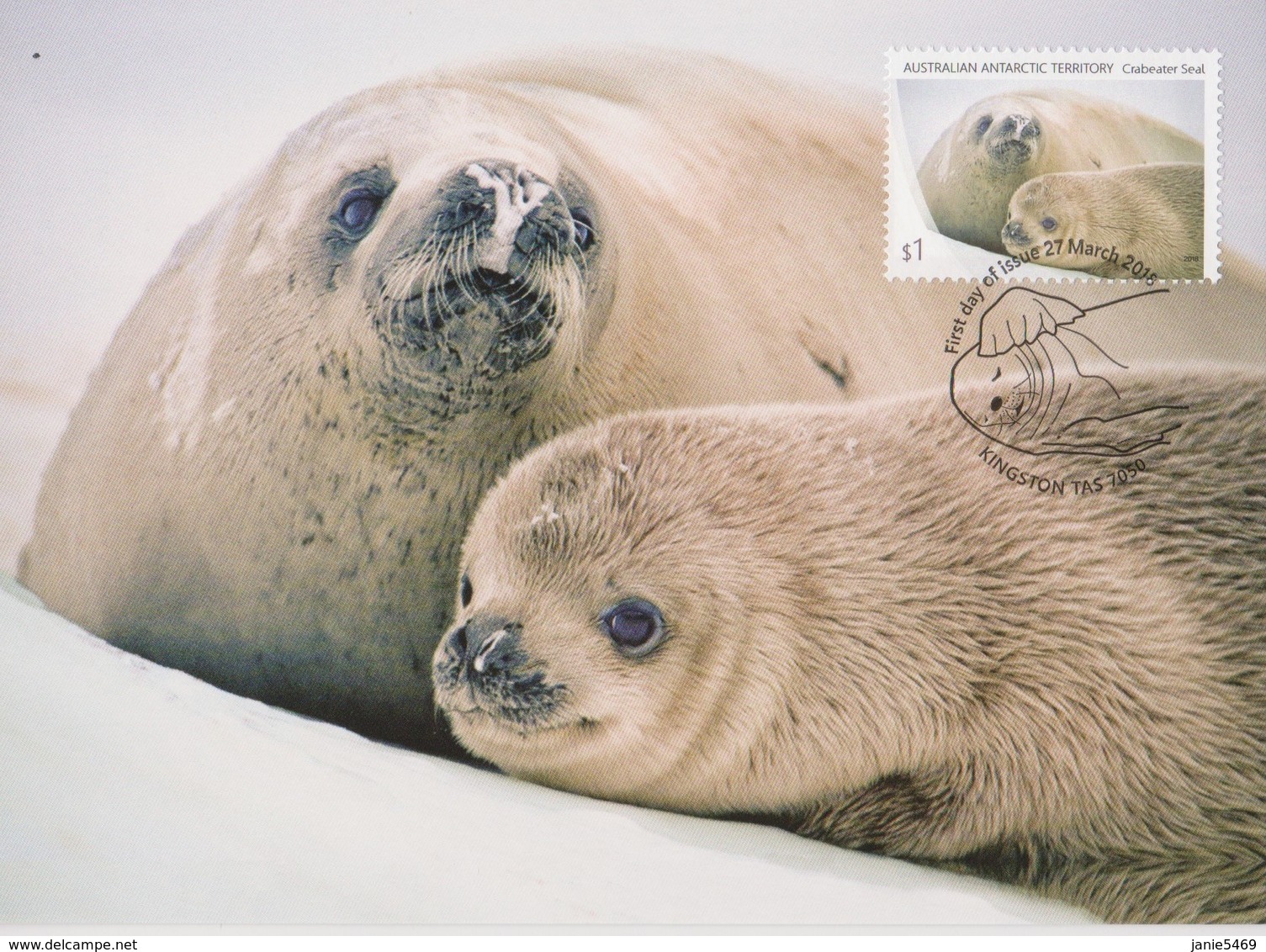 Australian Antarctic Territory 2018 Crabeater Seal,Mother And Pup, Maximum Card - Cartes-maximum