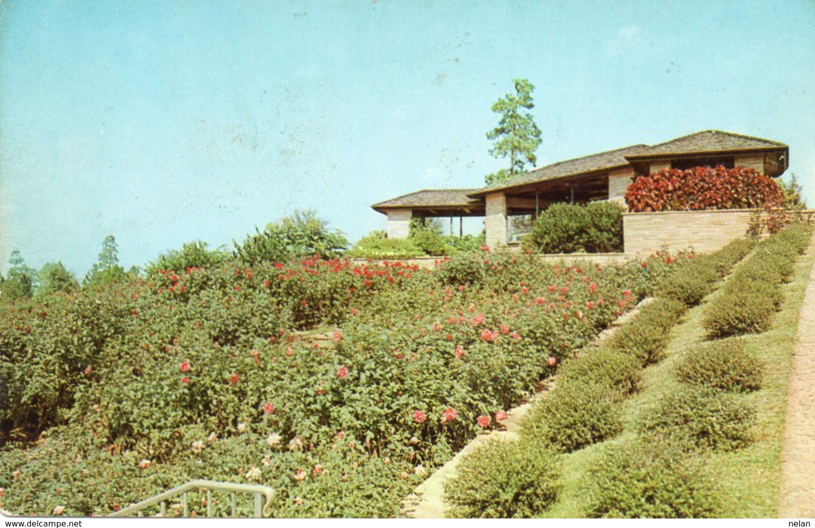 ROSE GARDEN-HODGES GARDENS-MANY-LOUISIANA - Altri & Non Classificati