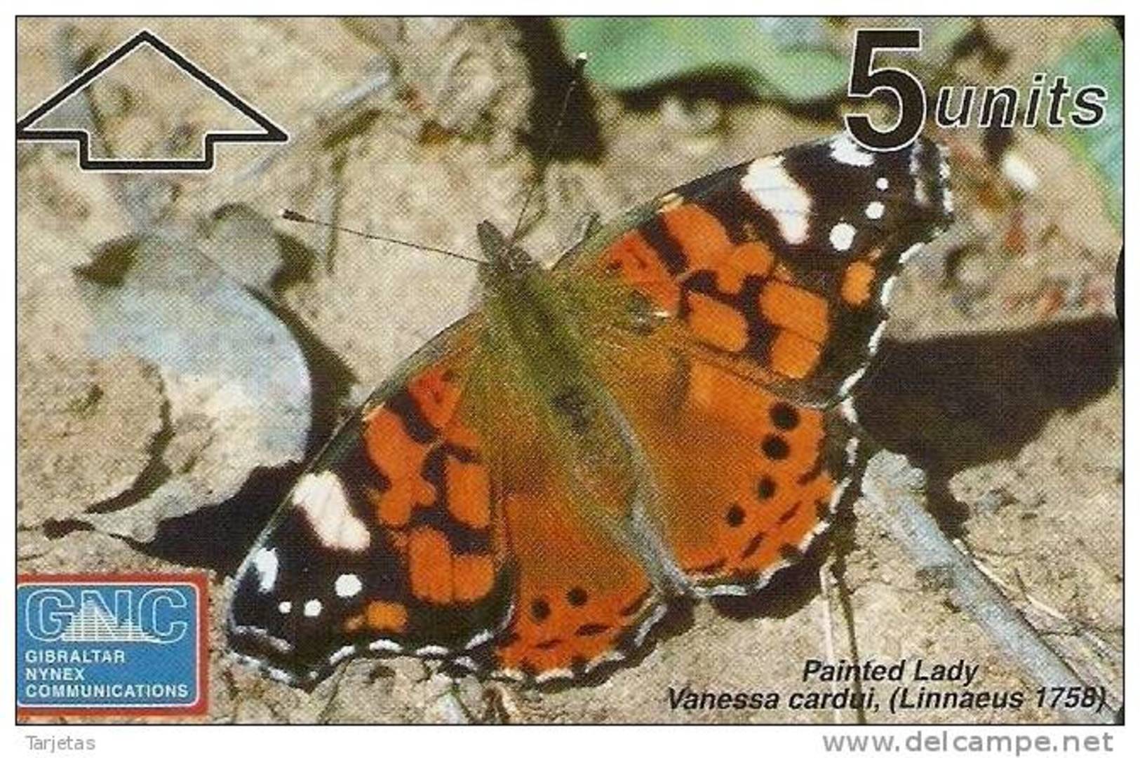 TARJETA DE GIBRALTAR DE UNA MARIPOSA (BUTTERFLY) NUEVA-MINT - Butterflies