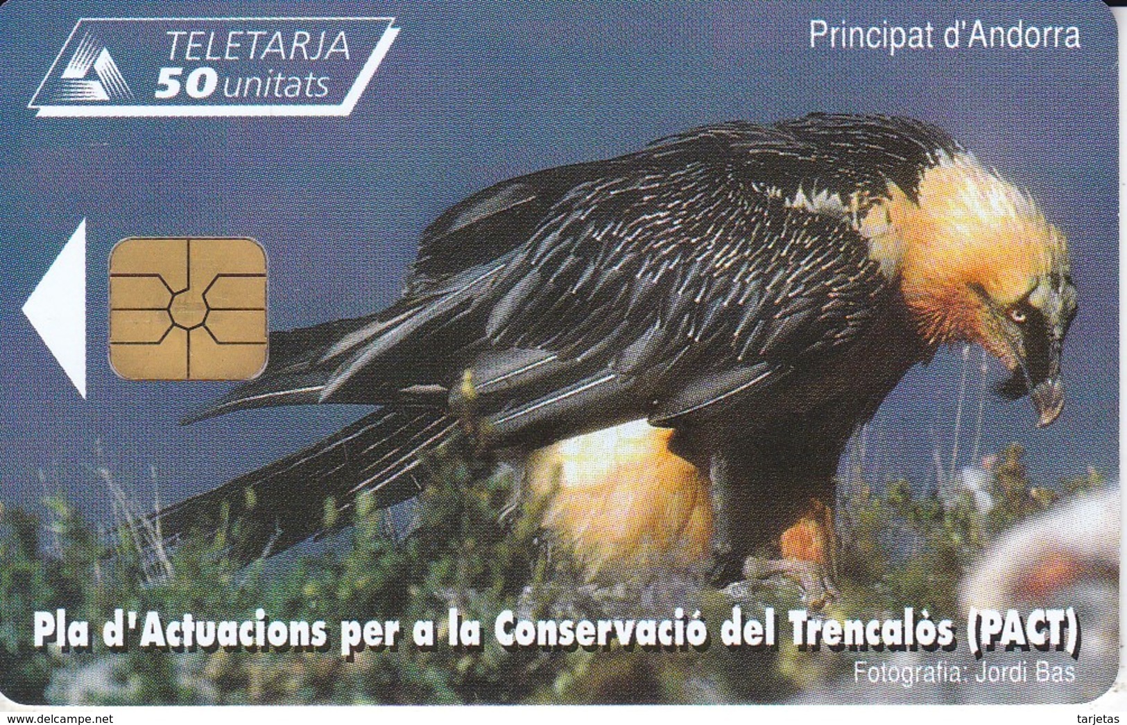 AND-143 TARJETA DE ANDORRA DE EL QUEBRANTAHUESOS (BIRD-PAJARO) - Andorra