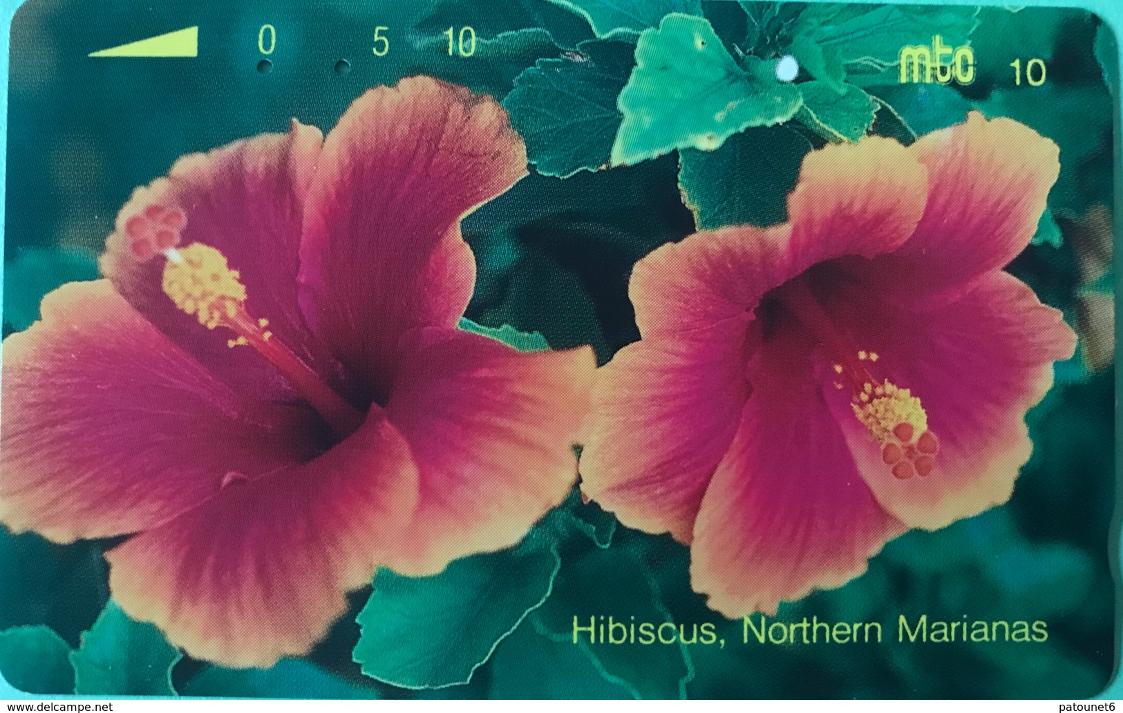MICRONESIE  -  Carte " Tamura "  Hibiscus, Northern Marianas " -  Mtc 10 - Mikronesien