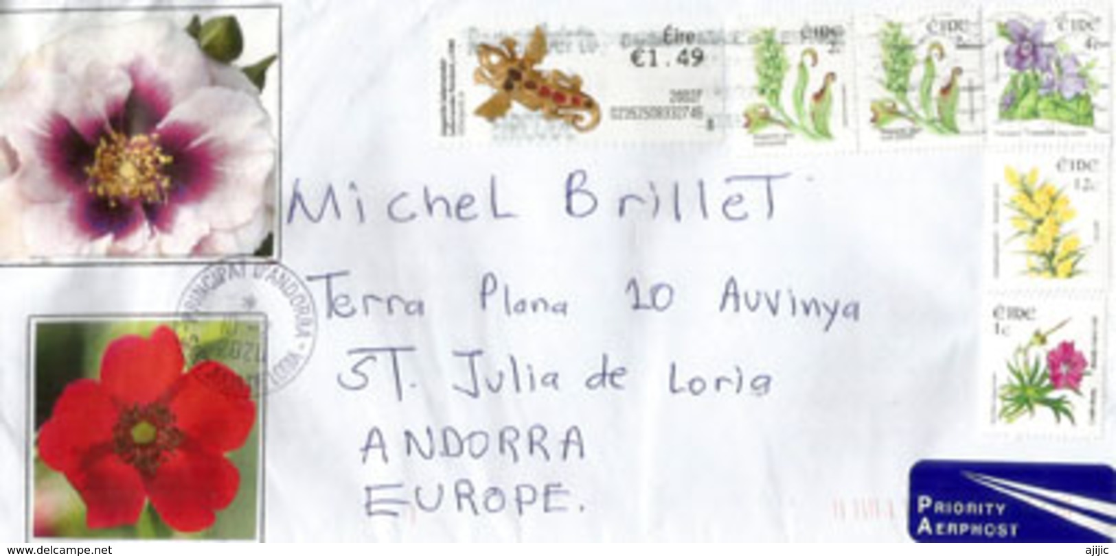 Belle Lettre D'Irlande (Éire) 2020, Fleurs & Salamandre, Adressée Andorra, Avec Timbre à Date Arrivée - Briefe U. Dokumente