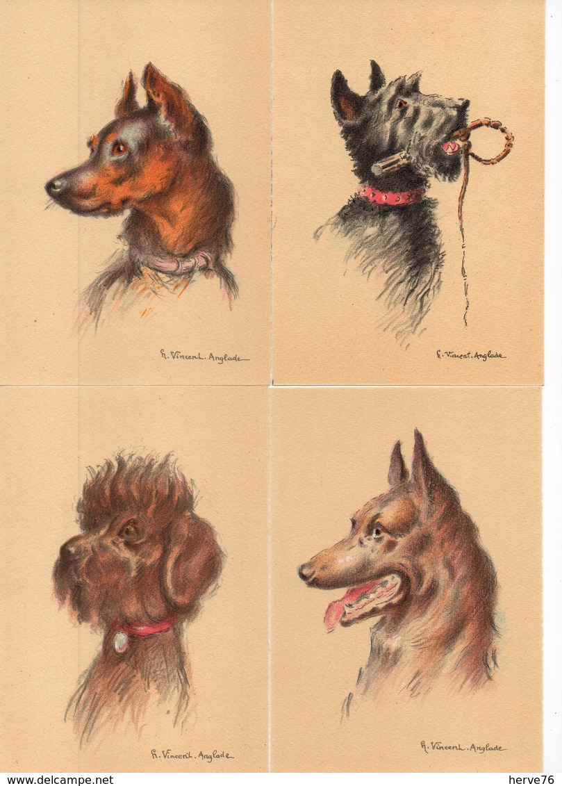 LOT  17 CP - Illustrateur H. Vincent Anglade - M. Barré & J. Dayez - Portrait Chien - Chiens - Other & Unclassified