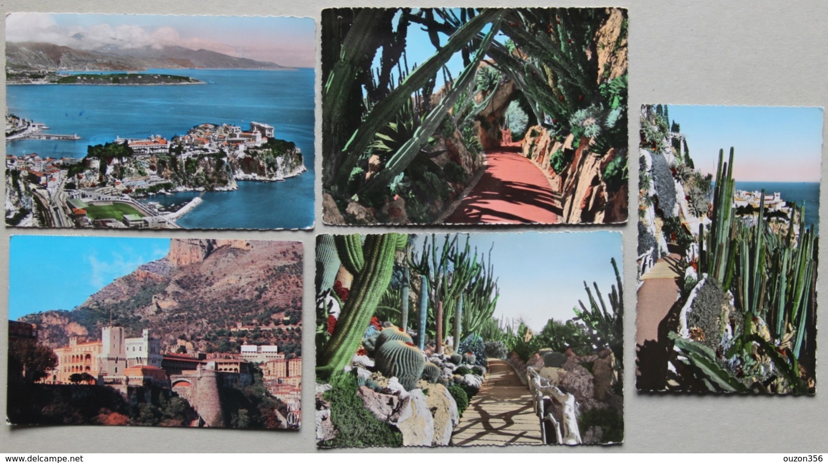 Monaco, Lot De 5 CP (Le Rocher, Le Château, Jardin Exotique) - Collections & Lots