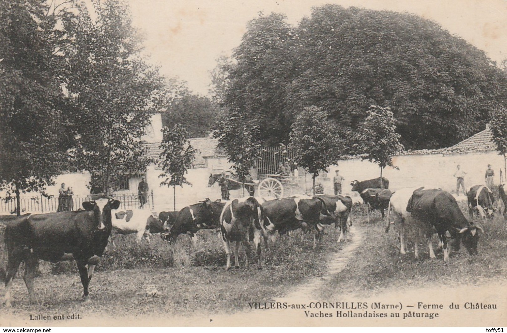 CPA:VILLERS AUX CORNEILLES (51) FERME DU CHÂTEAU VACHES HOLLANDAISES PÂTURAGE...ÉCRITE - Autres & Non Classés