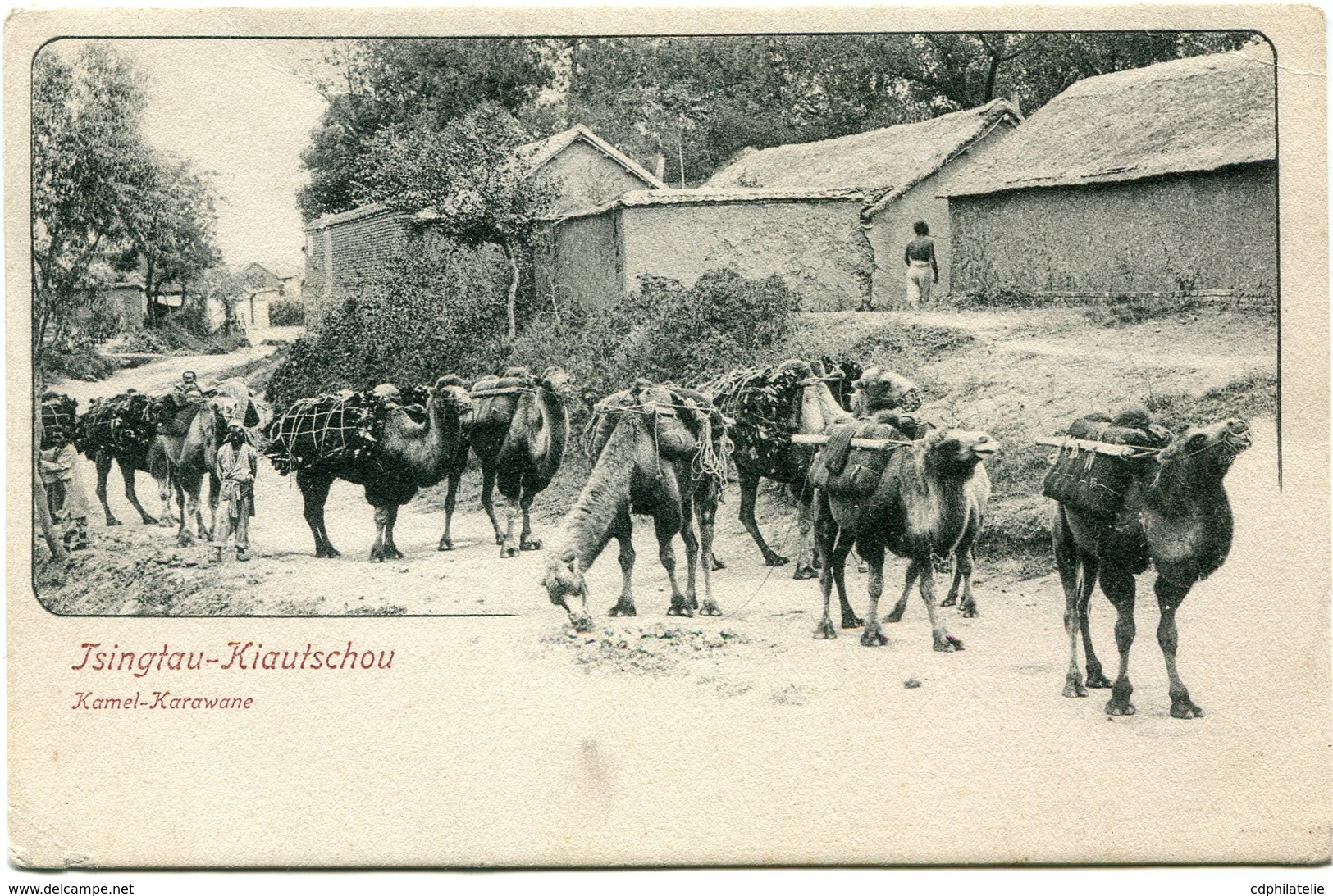 TSINGTAU-KIAUTSCHOU CARTE POSTALE NON VOYAGEE -KAMEL-KARAVANE - Cina