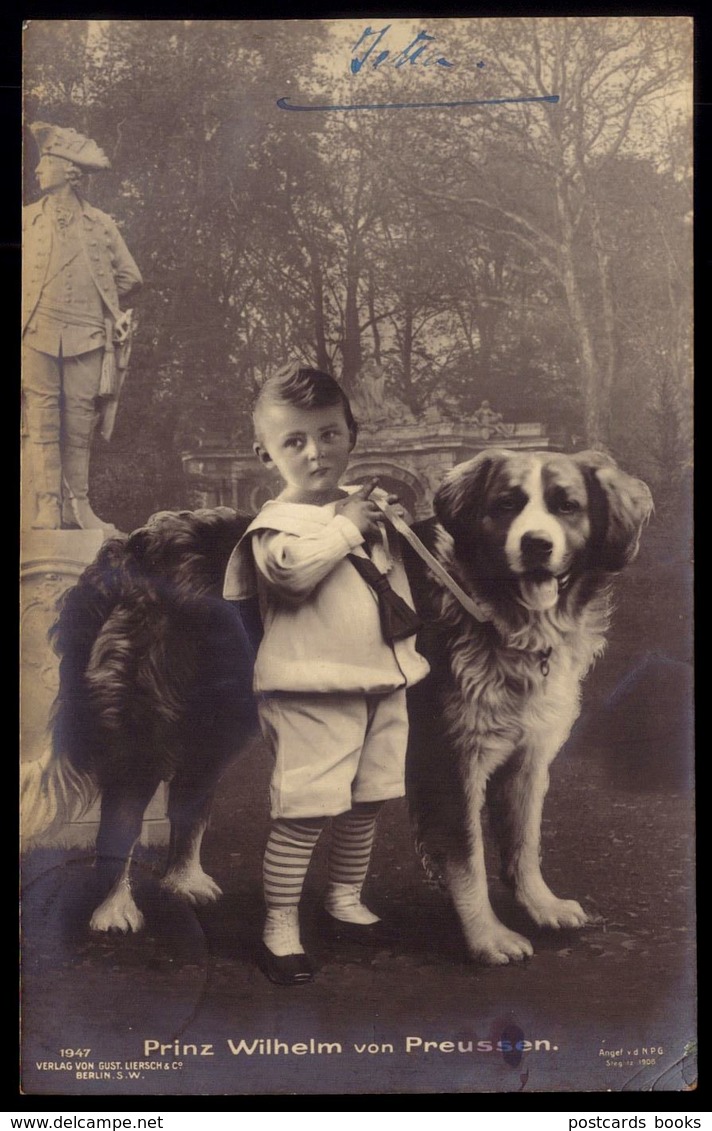 PRINCE WILHELM William Of PRUSSIA W/ Large Bernese Mountain Dog - Germany. Old Real Photo Postcard 1908 Stamp - Königshäuser