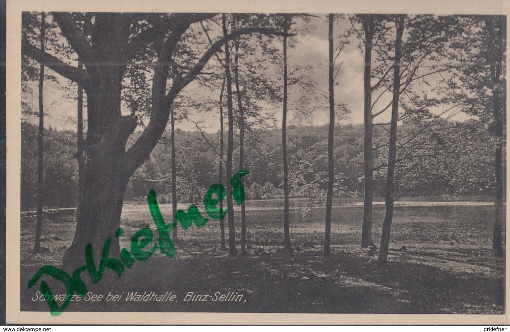 Schwarzer See Bei Waldhalle, Zwischen Binz Und Sellin, Um 1914 - Sellin