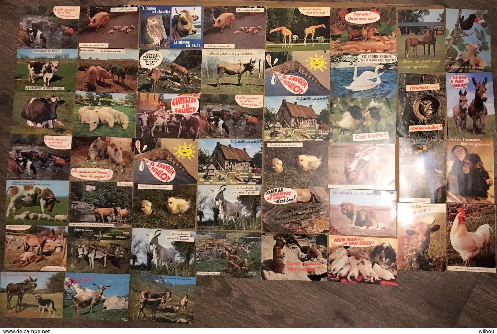 LOT DE 47 CARTES ANIMAUX HUMORISTIQUES TOUTES NON CIRCULEES - Humour