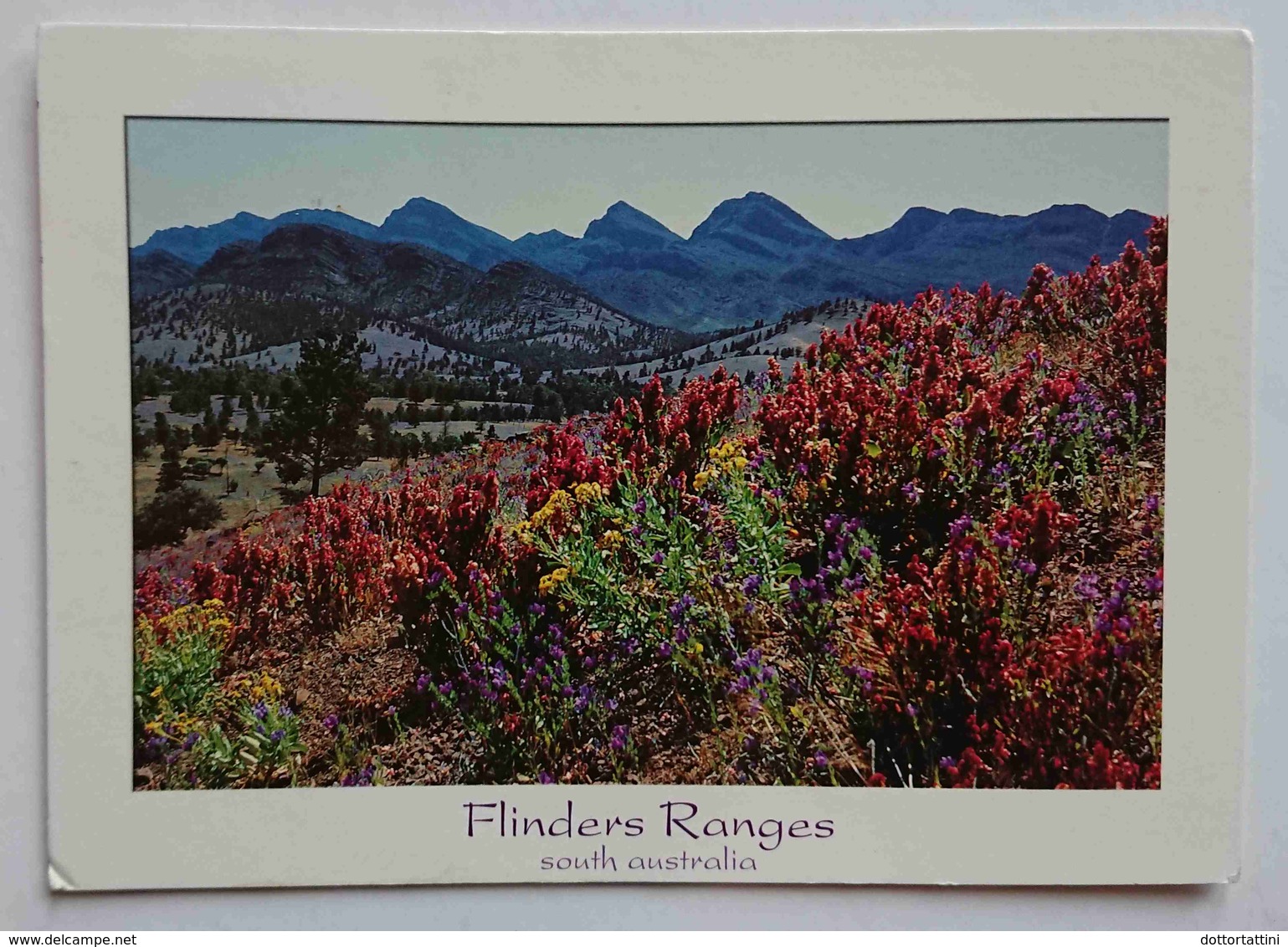 FLINDERS RANGES / South Australia - Moralana Scenic Drive  - Vg - Flinders Ranges