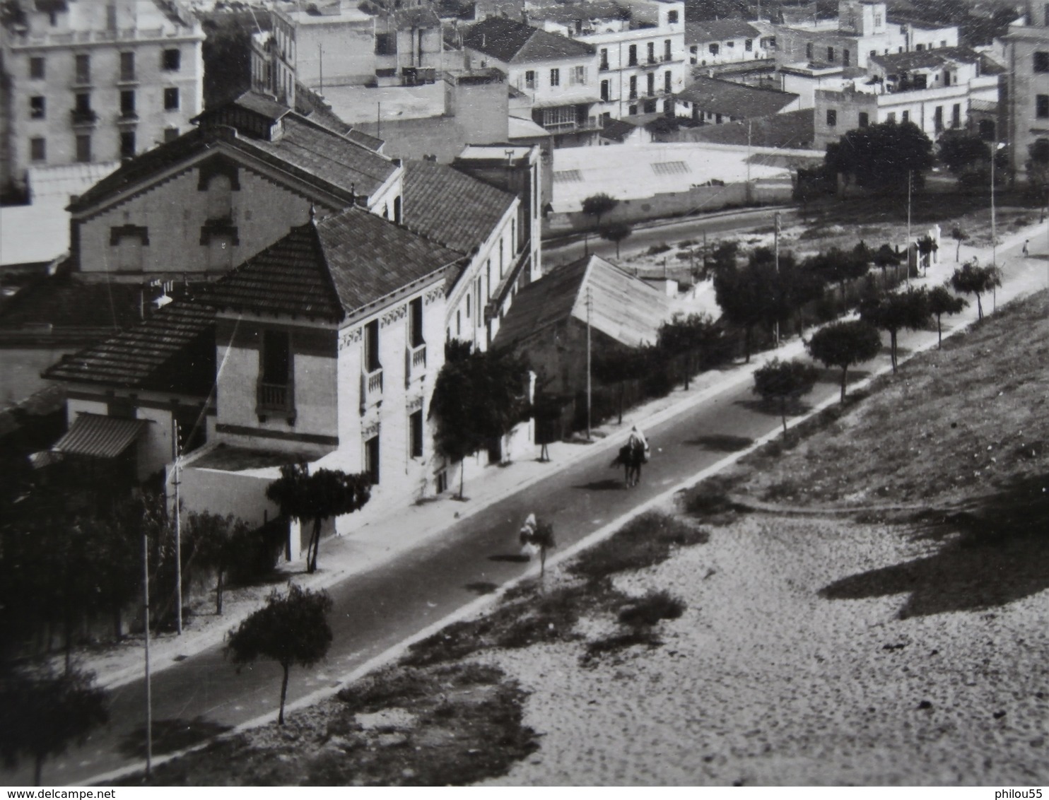 Cpsm TANGER  Anime Vue Generale De La Baie - Tanger