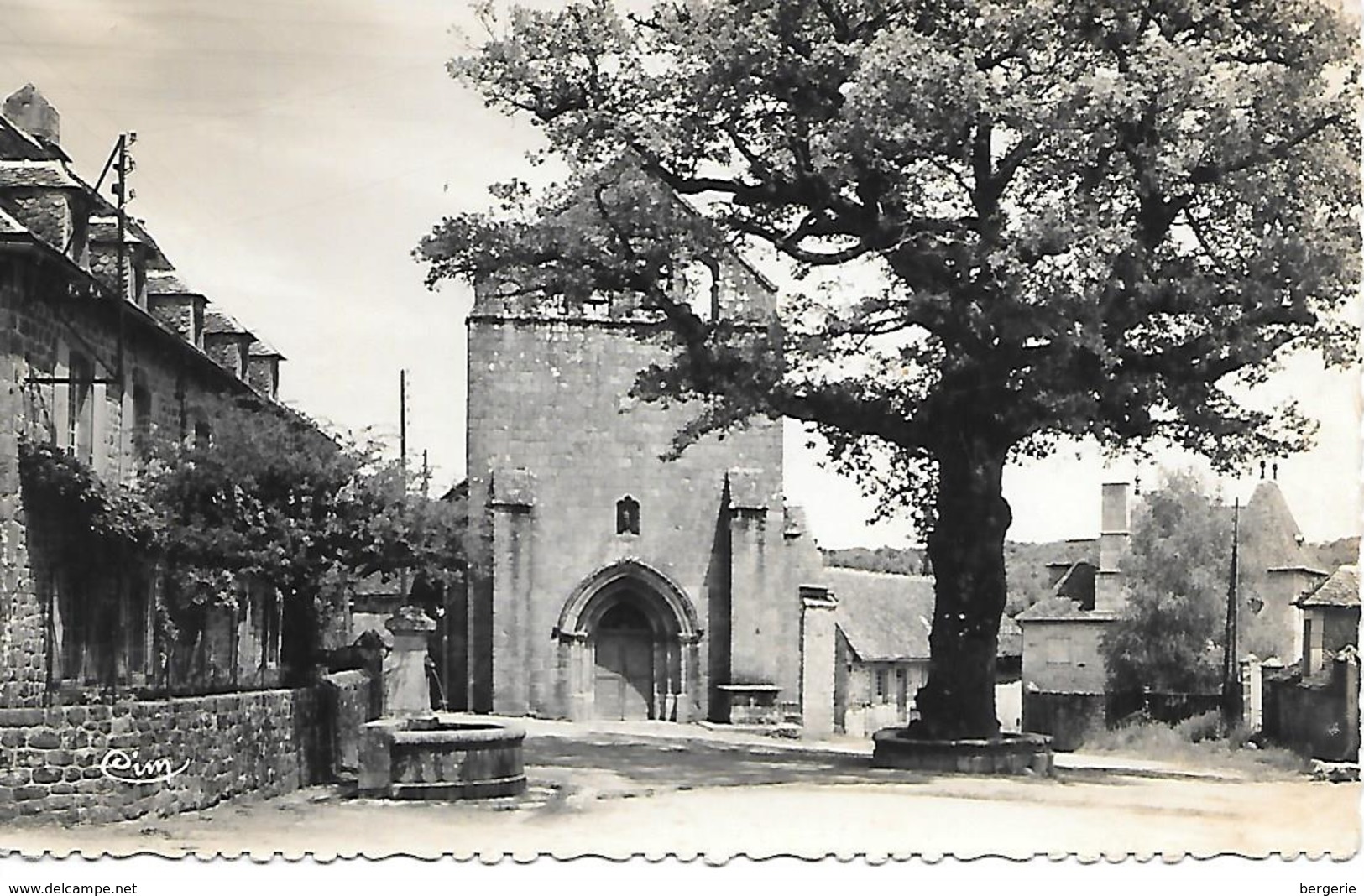 12 / 32   Cpsm   9X14     19   La Roche-canillac     Place De L'église & Le Chene Centenaire - Other & Unclassified