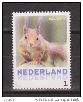 NVPH Nederland Netherlands Pays Bas Niederlande Holanda MNH ; NOW MANY STAMPS OF SQUIRREL Eekhoorn Ecureuil Ardilla - Nager