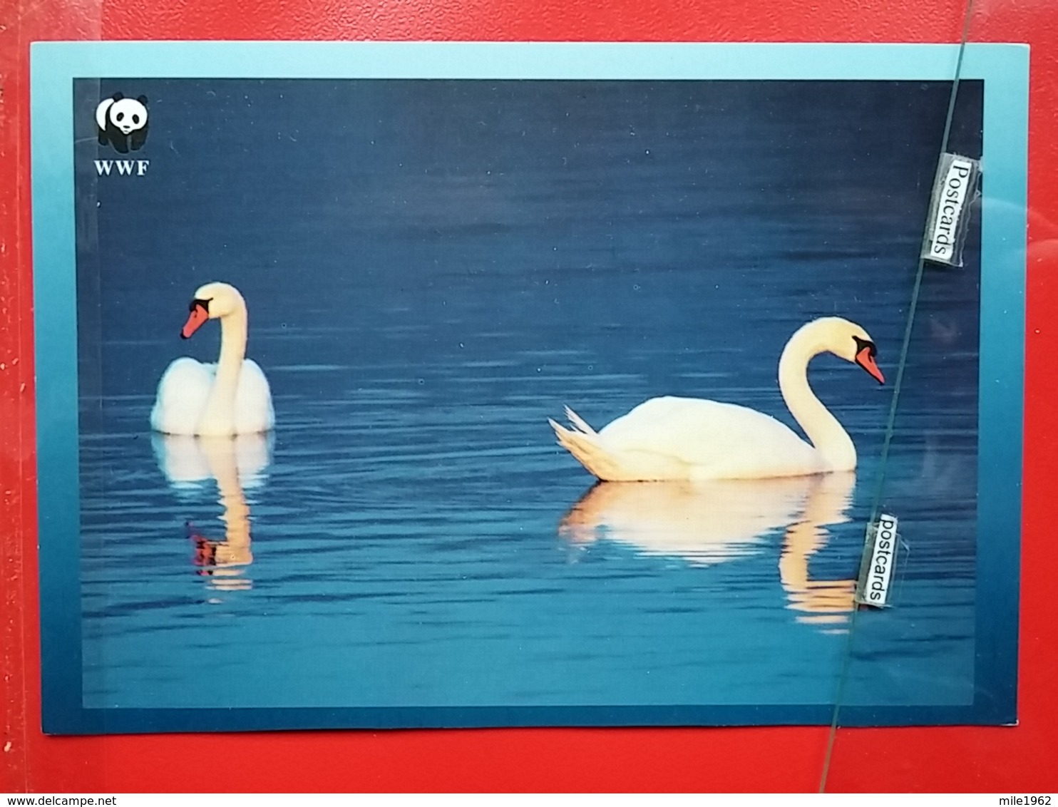 KOV 506-8 - BIRD, OISEAU, SWAN, WWF - Pájaros