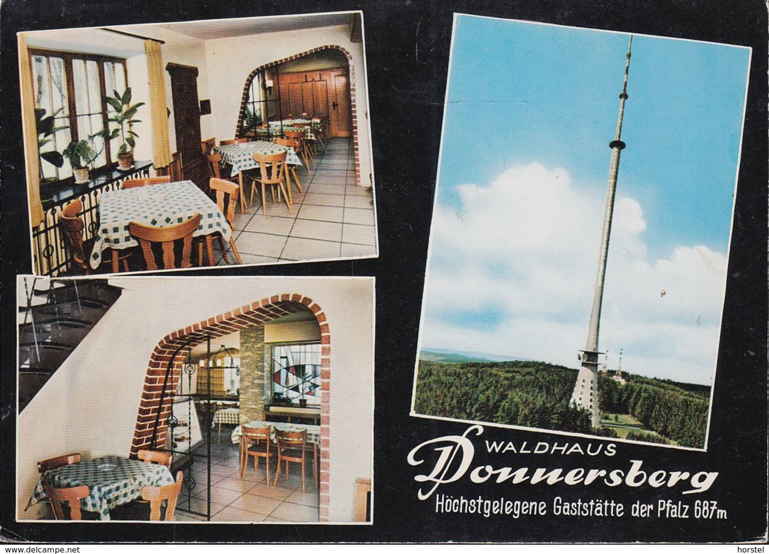 D-67814 Dannenfels- Gaststätte "Waldhaus Donnersberg" - Fernsehturm - Tower - Kirchheimbolanden