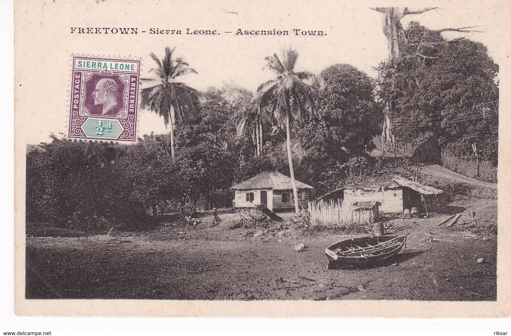 SIERRA LEONE(FREETOWN) ARBRE - Sierra Leone