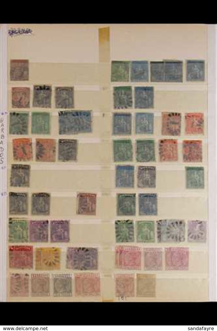 1852-1925 ATTRACTIVE & VALUABLE COLLECTION/ACCUMULATION On Stock Pages, QV Issues Mostly Used And Later Issues Mostly Mi - Barbados (...-1966)