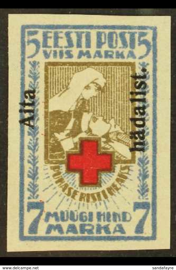1923 5m+7m Brown & Blue Red Cross "Aita Hadalist" Overprinted Imperf, Mi 47B, 4 Wide Margins, Very Fine Mint For More Im - Estonie