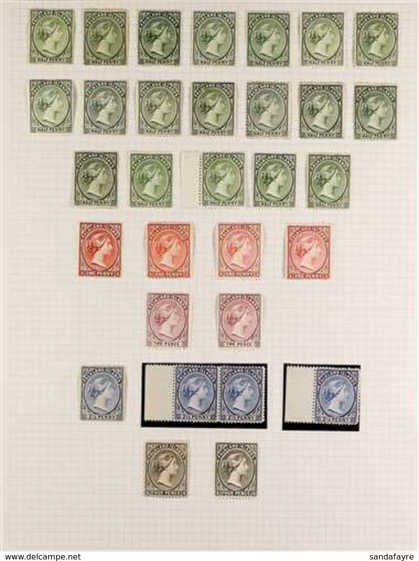 1891-1962 ATTRACTIVE MINT COLLECTION/ACCUMULATION Presented On Album Pages, Includes 1891-1902 Vals To 2½d (x4 Incl A Pa - Falklandeilanden