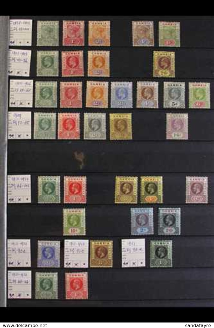 1898-1965 FINE MINT COLLECTION On Stock Pages, We See 1898-1902 Values To 6d, KEVII Values To 2s6d, KGV To 2s6d Values,  - Gambia (...-1964)
