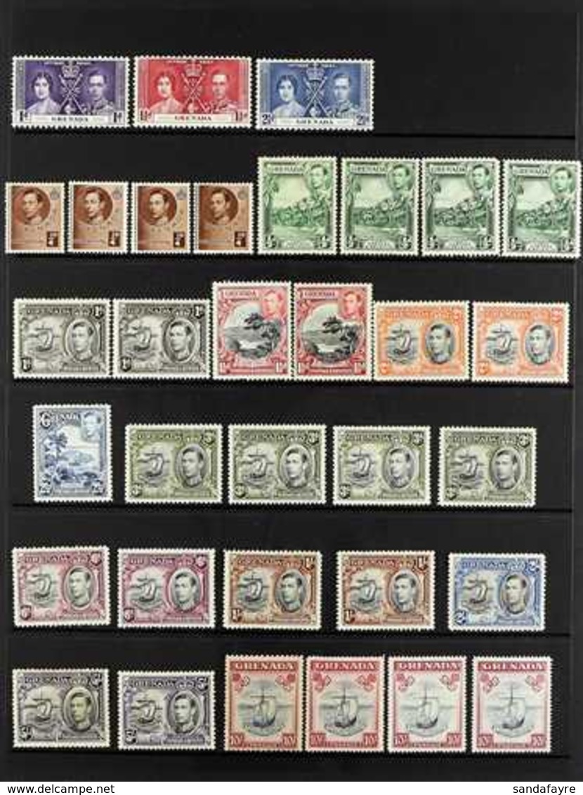 1937-1951 COMPLETE MINT COLLECTION On Stock Pages, All Different, Includes 1938-50 Pictorials Set With Most Shades & Per - Grenada (...-1974)