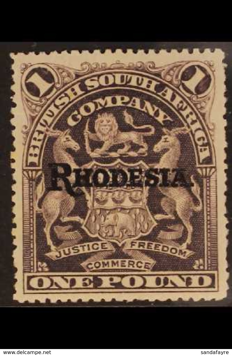 1909-12 £1 Grey-purple, "RHODESIA." BSAC Arms, SG 113, Fine Mint. For More Images, Please Visit Http://www.sandafayre.co - Andere & Zonder Classificatie