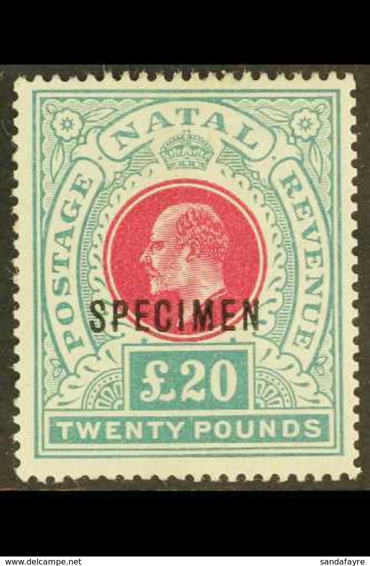 NATAL 1902 £20 Red And Green, Ed VII, Ovptd "Specimen", SG 145bs, Very Fine Mint, Large Part Og. For More Images, Please - Non Classés