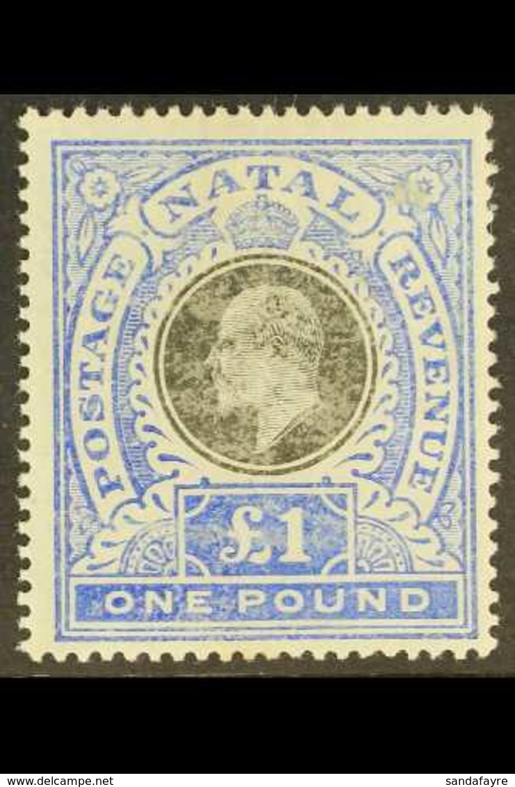 NATAL 1902 £1 Black And Bright Blue, SG 142, Mint. Rubbed Surface But Still A Reasonable Copy. Cat £350 For More Images, - Zonder Classificatie