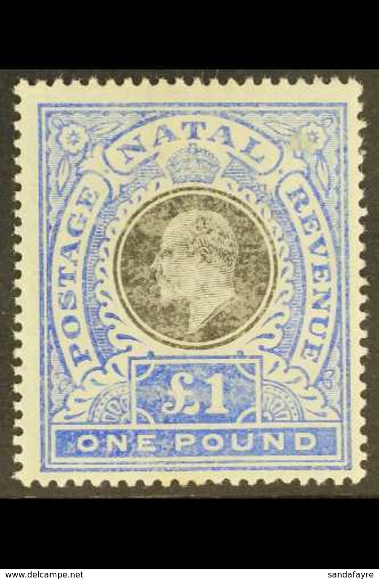 NATAL 1902 £1 Black And Bright Blue, SG 142, Mint. Rubbed Surface But Still A Reasonable Copy. Cat £350 For More Images, - Non Classificati