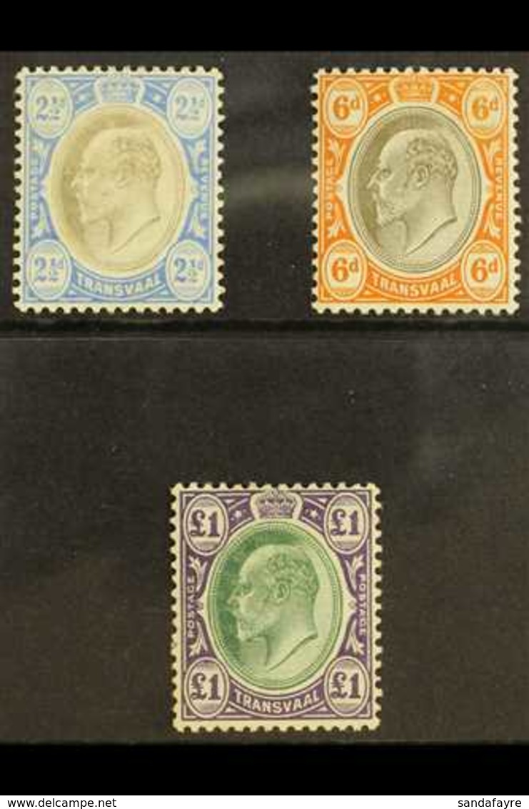 TRANSVAAL 1904 - 09 2½d, 6d And £1 On Chalk Paper, SG 253b, 266a, 272a, All Very Fine And Fresh Mint. (3 Stamps) For Mor - Zonder Classificatie