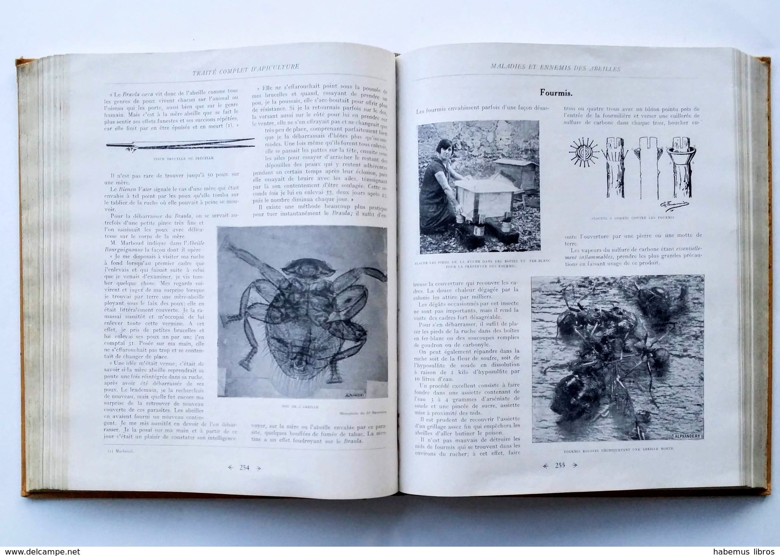 Traité Complet D'Apiculture, Edmond Alphandery, 1931. Abeille, Ruche, Miel - Natuur