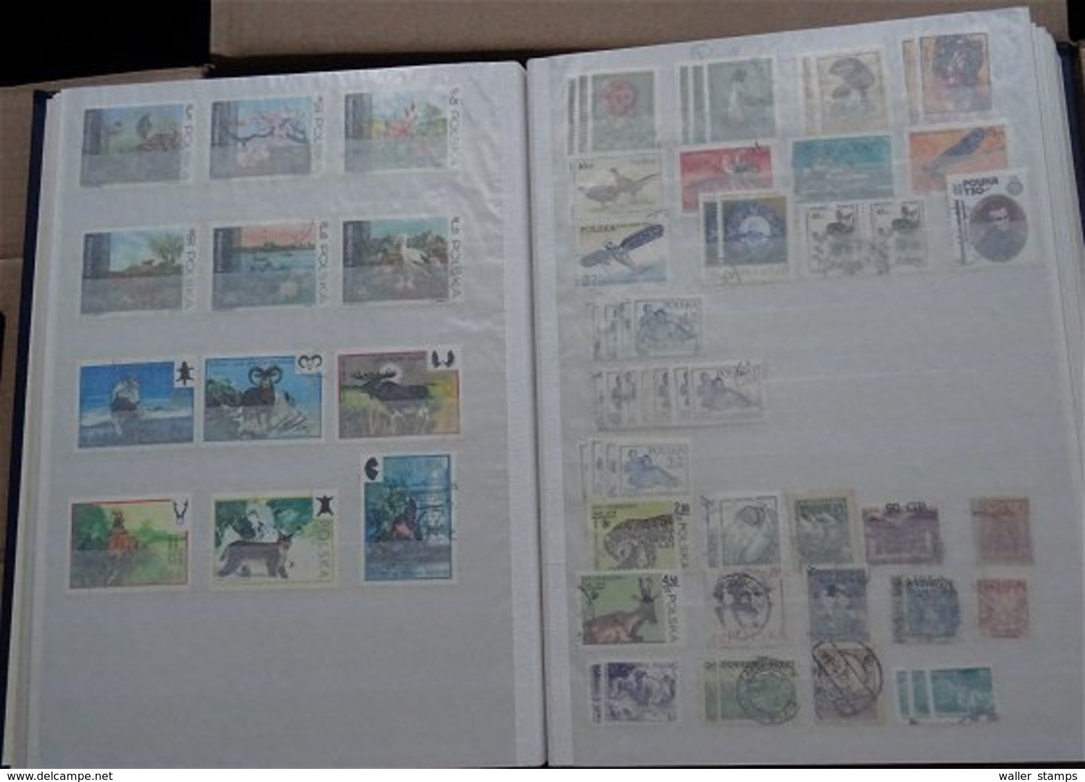 Lot With World Stamps In Albums FREE SCHIPPING IN THE EUROPEAN UNION