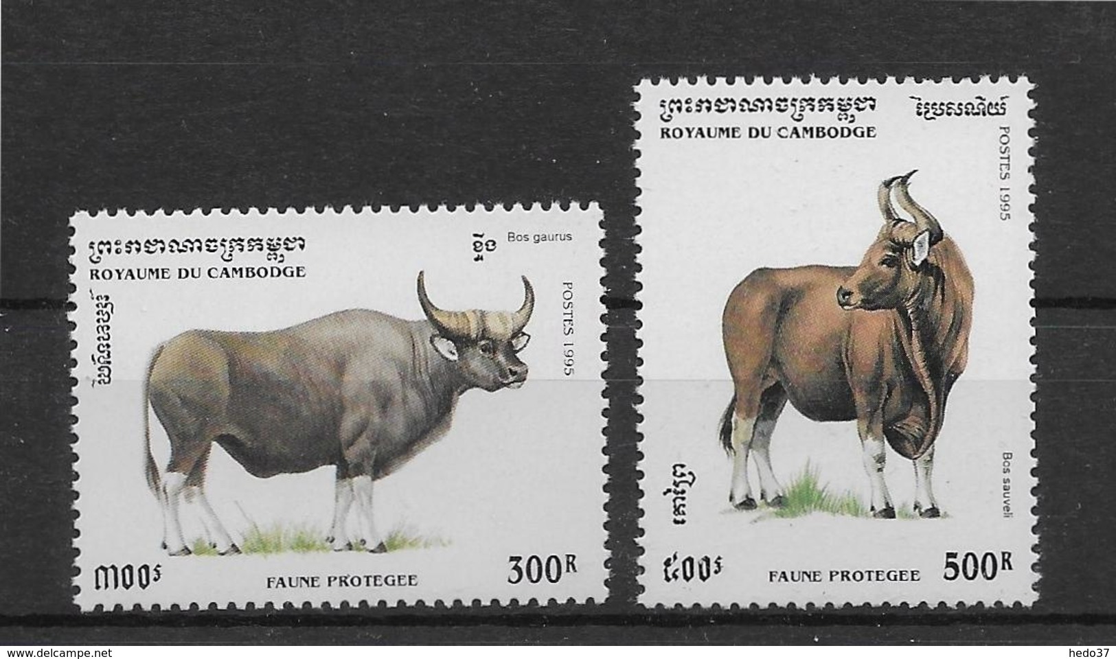 Thème Animaux - Vaches - Buffles - Cambodge - Neuf ** Sans Charnière - TB - Vaches