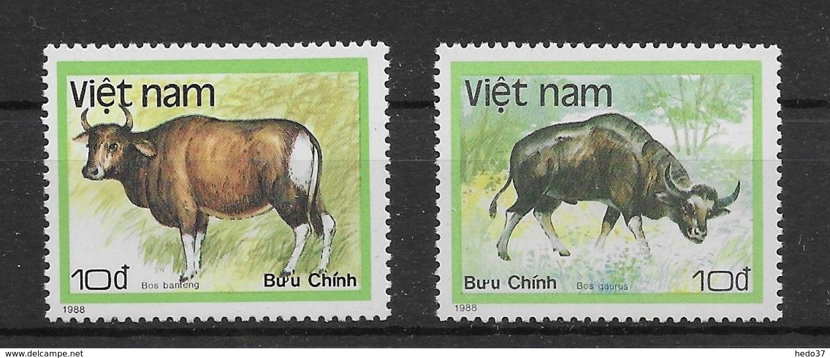 Thème Animaux - Vaches - Buffles - Vietnam - Neuf ** Sans Charnière - TB - Vaches