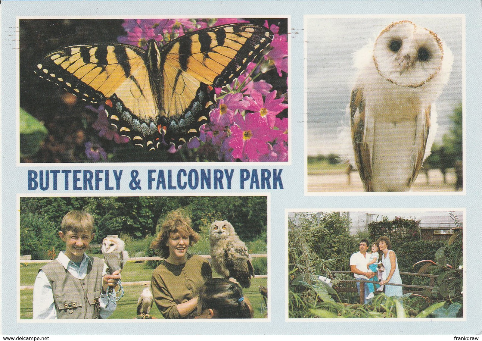 Postcard - Butterfly And Falconry Park Four Views, Lincs - Card No.10886 Unused Very Good - Non Classificati