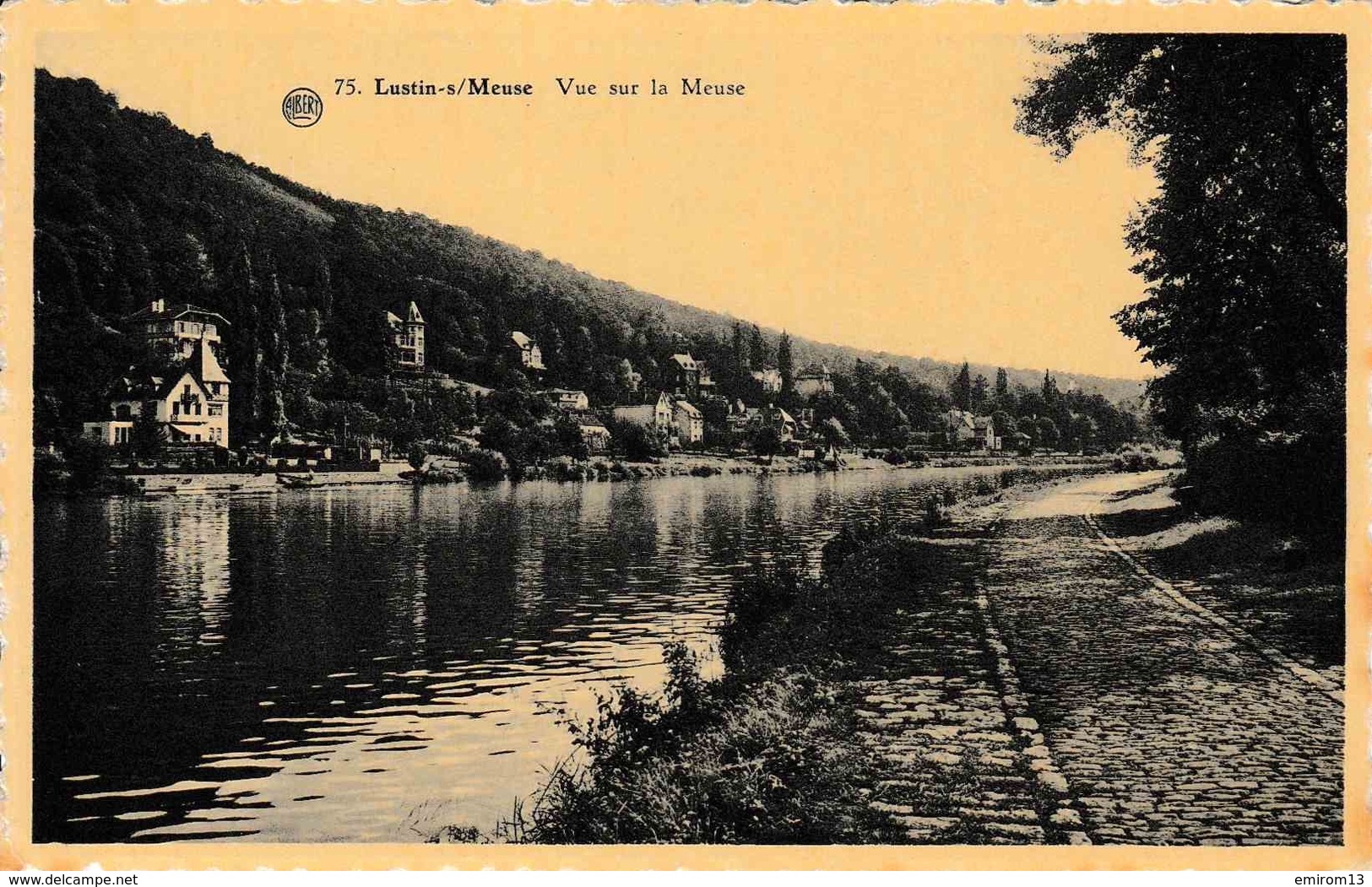 Lustin Vue Sur La Meuse - Profondeville