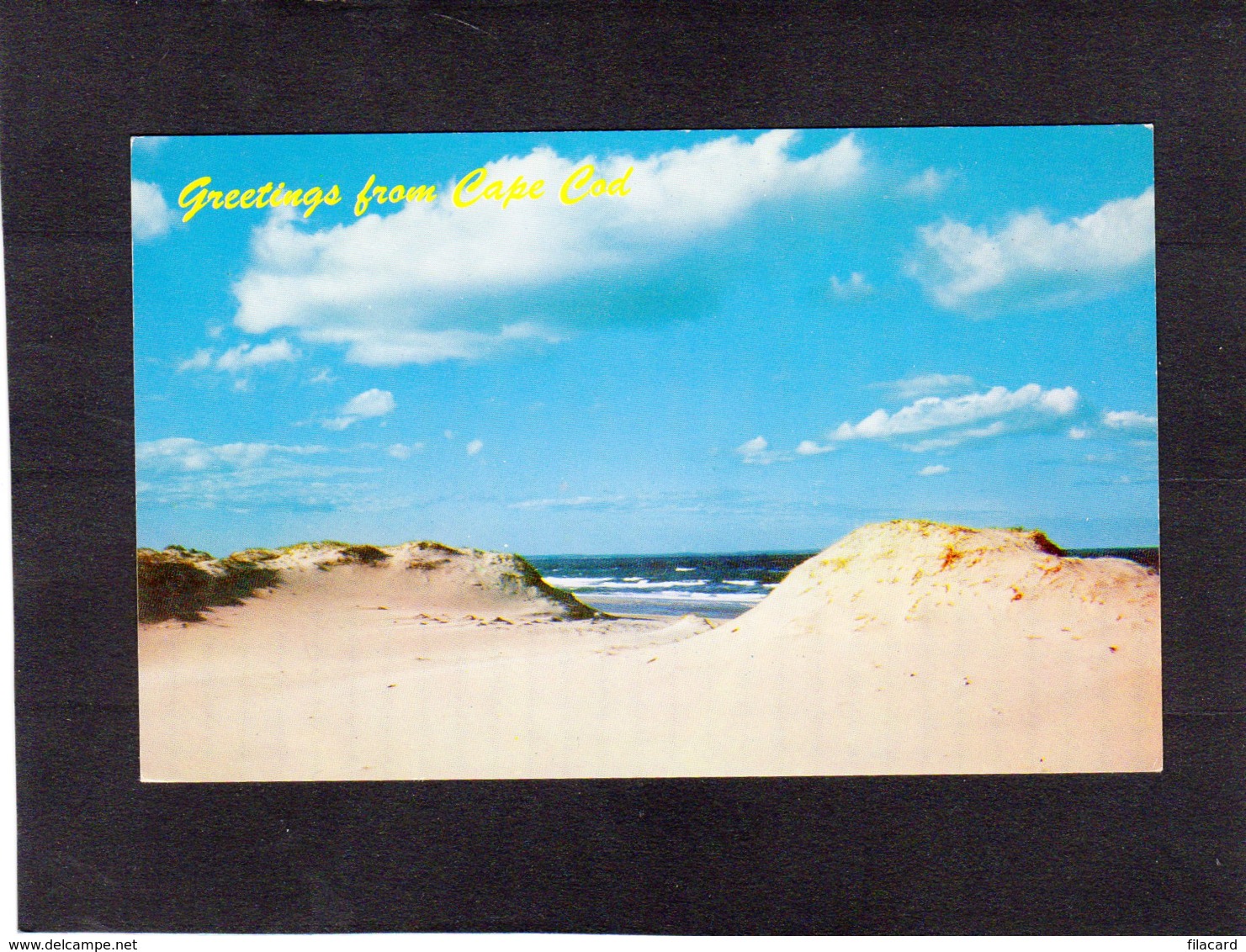 91394     Stati  Uniti,  Greetings  From  Cape Cod,  Cape Cod  Sand Dunes,    NV(scritta) - Cape Cod