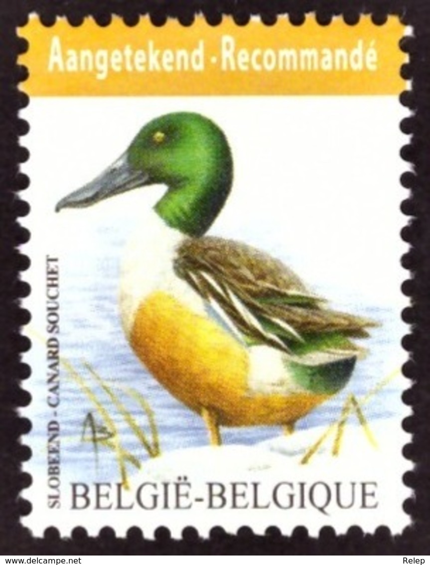 Belgique 2015 - YT N° 4537  Recommandé  Birds - Ducks #  A. Buzin Cote €7.50 - Nuevos