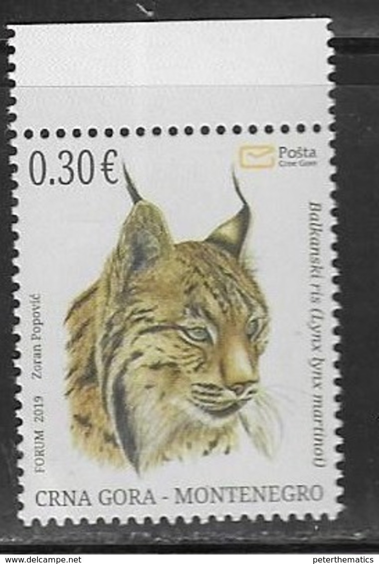 MONTENEGRO, 2019, MNH, ENVIRONMENT PROTECTION, FAUNA, FELINES, BALKAN  LYNX,  1v - Big Cats (cats Of Prey)