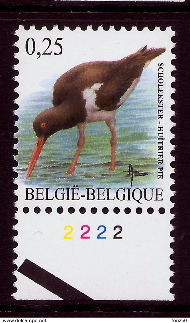 BELGIE * Buzin * Nr 3087  Plaatnr 2 * Postfris Xx *  HELDER FLUOR  PAPIER - 1985-.. Vogels (Buzin)