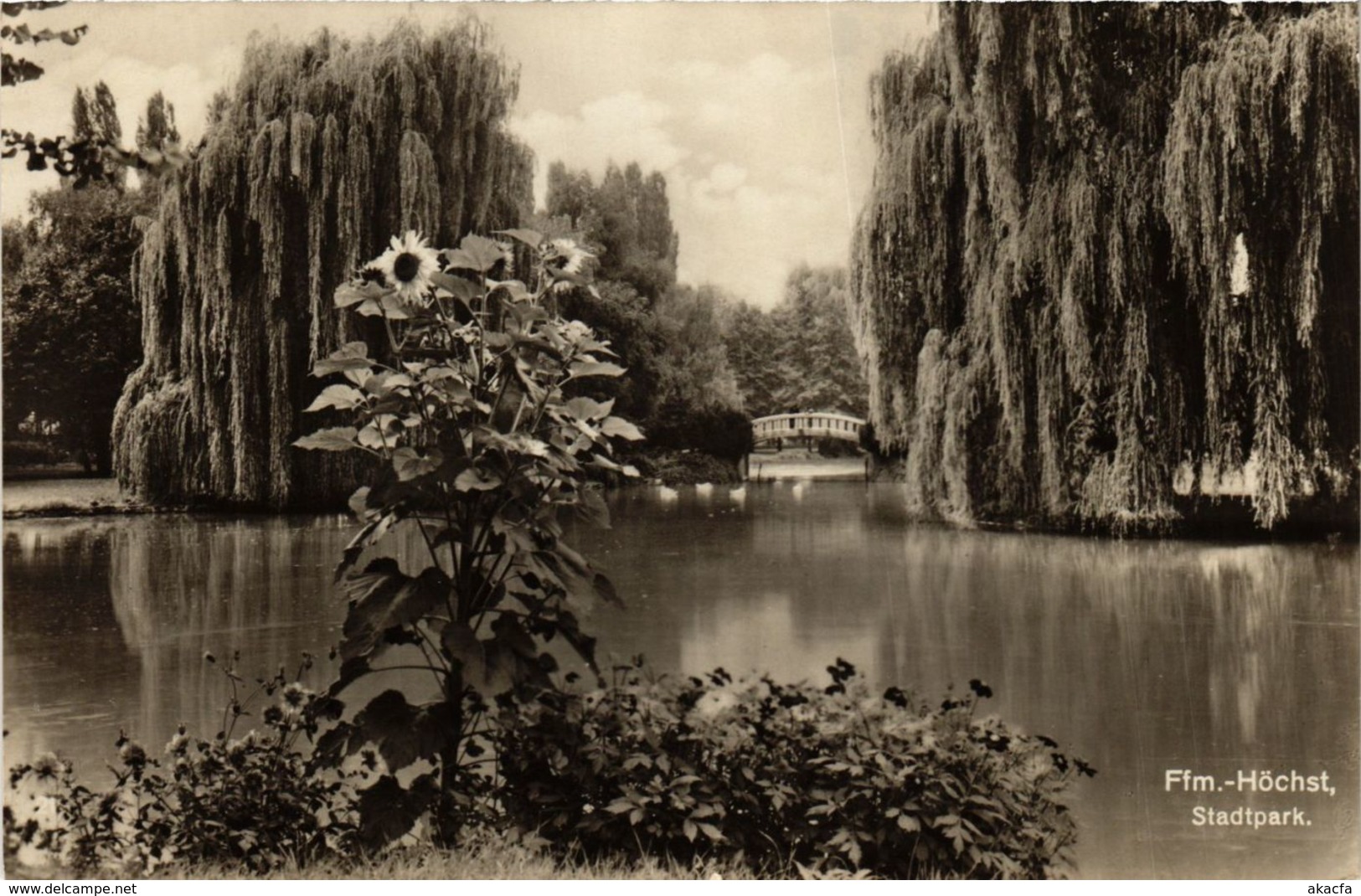 CPA AK Hochst- Stadtpark GERMANY (949730) - Höchst