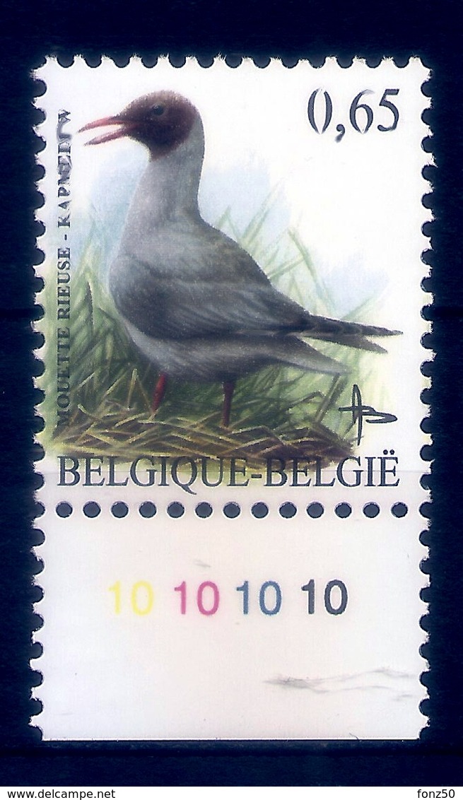 BELGIE * Buzin * Nr 3268  Plaatnr 10 * Postfris Xx * DOF FLUOR  PAPIER - 1985-.. Oiseaux (Buzin)