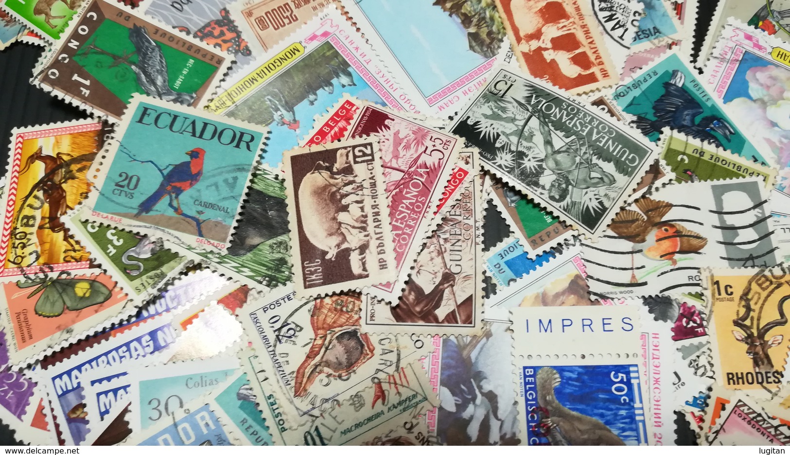 MIX DI 110 FRANCOBOLLI TEMATICA REGNO ANIMALE 110 ANIMAL DIFFERENT STAMPS GREAT OFFER - Altri & Non Classificati