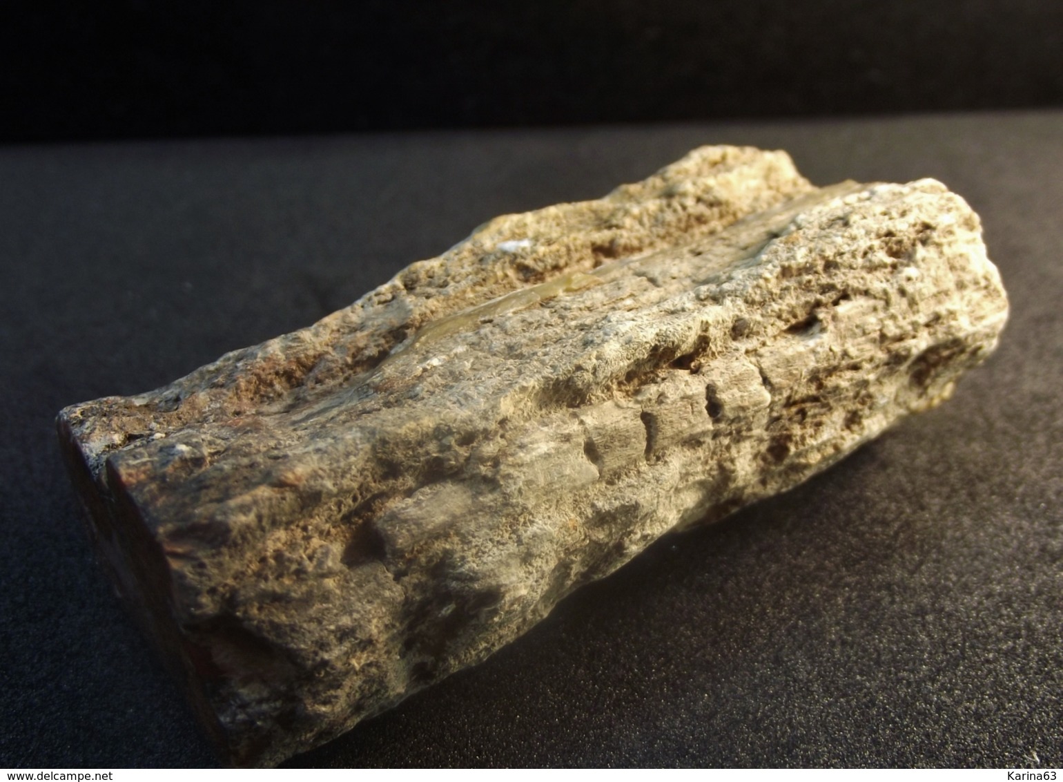 Petrified Wood (Fossilized Wood) - ( 6 X 3 X 2 Cm ) -   Aruaucaria  -  Mahajanga -  Madagascar - Minéraux