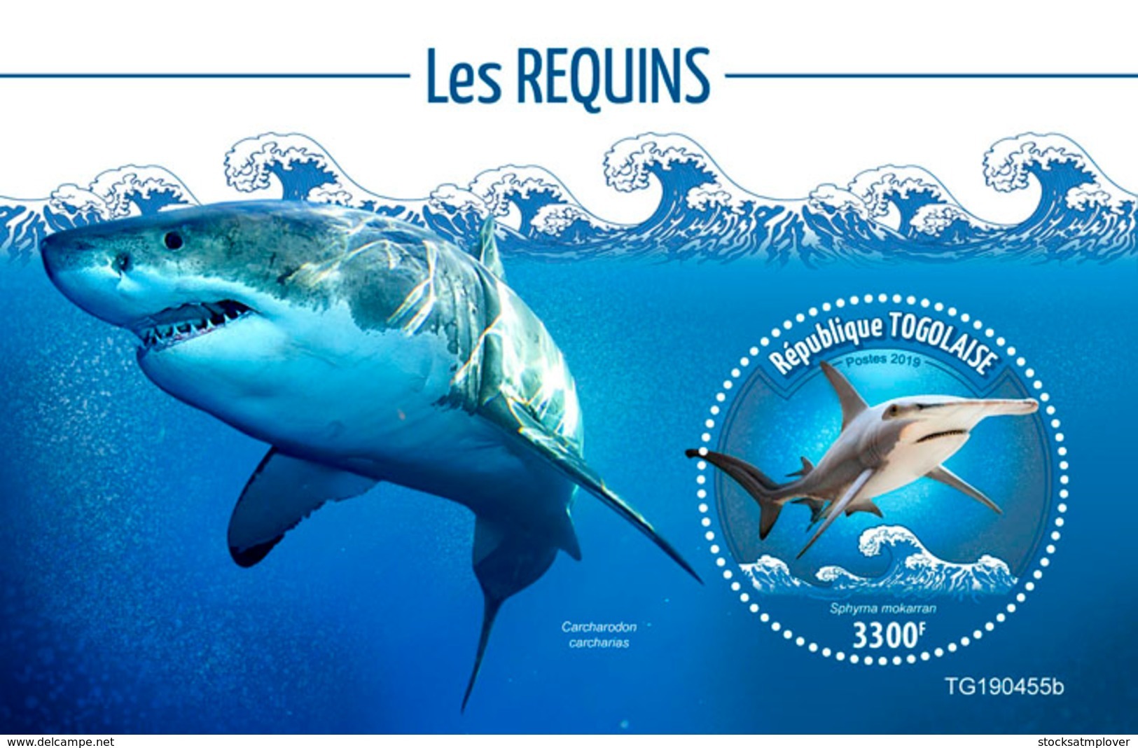 Togo  2019 Fauna Sharks   S201911 - Togo (1960-...)