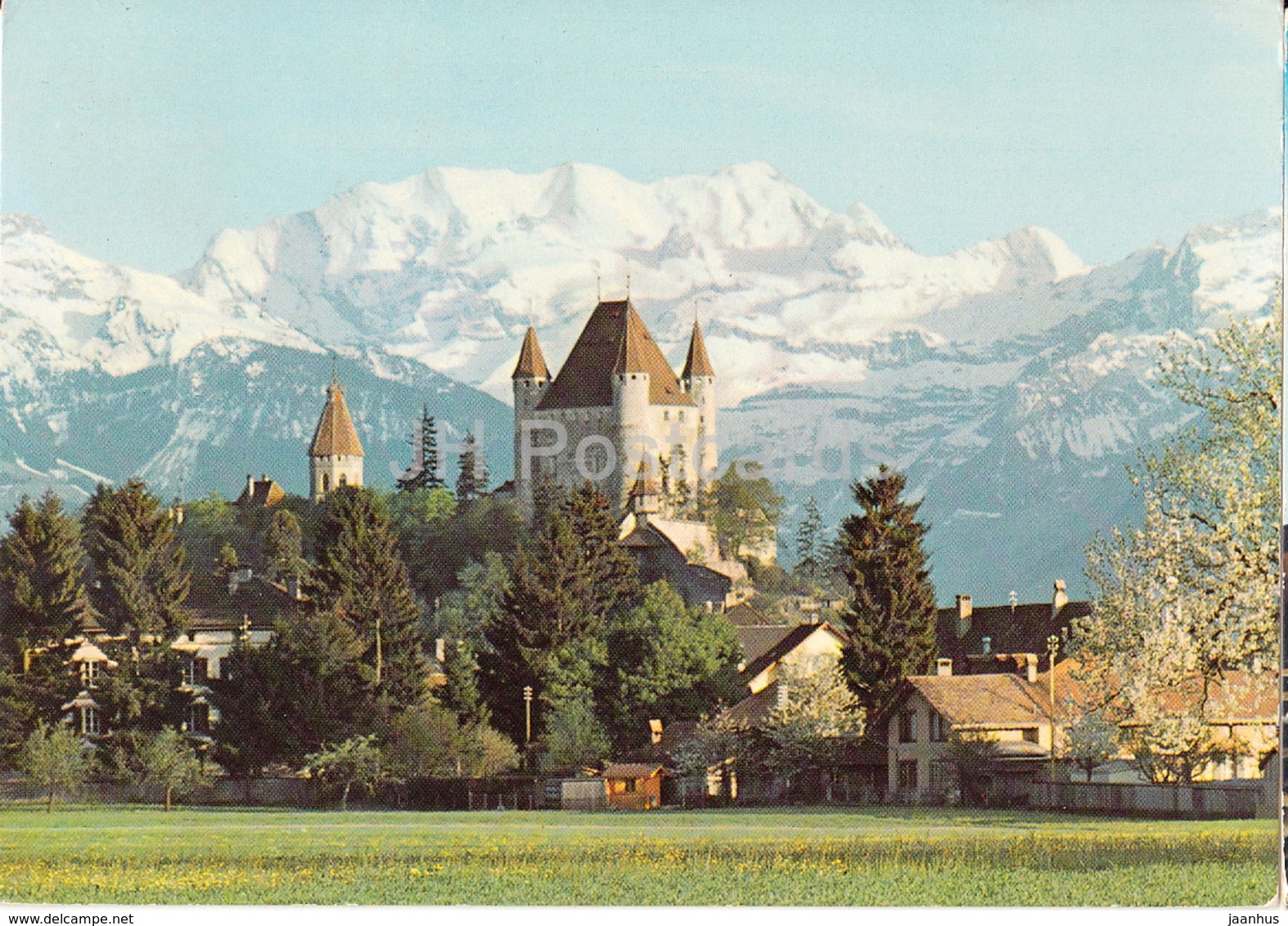 Thun - Thoune - Schloss Mit Blümlisalp - Castle - 8239 - Switzerland - 1977 - Used - Thoune / Thun