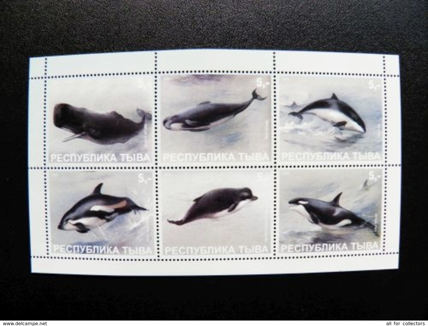 Sheetlet Tuva Touva Animals Marine Whale Whales - Tuva